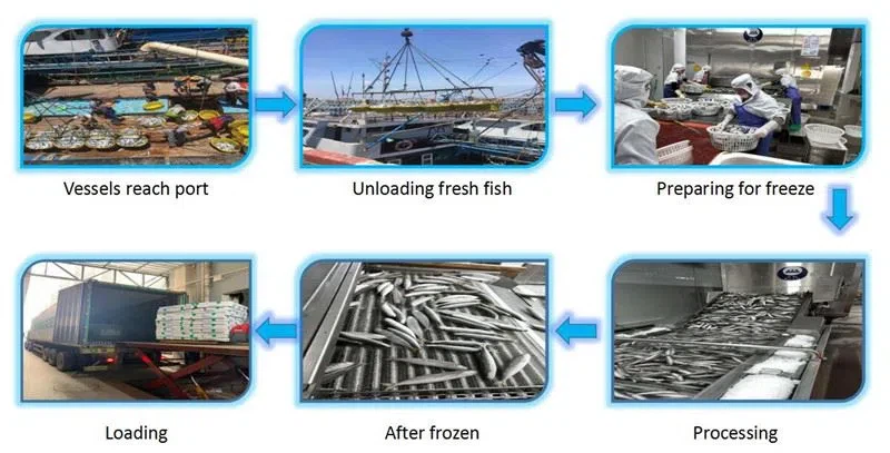 20201023151628bf36ce491a0b4583b6bbe9c4c4b4e426