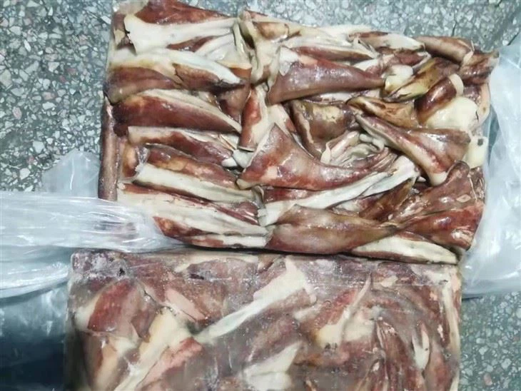 Frozen Squid Tail