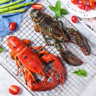 Pechè Rasanble Pou Rekòlte Yon Gwo Kantite Fwidmè Tankou Badai Ak Krevèt Tig