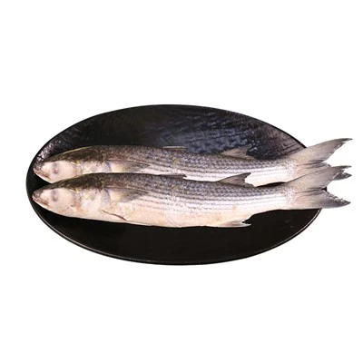 Fresh Gutted Gri Mullet