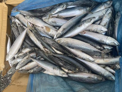 d9580134d0e8f3041a60dd8aa23dcbf d9580134d0e8f3041a60dd8aa23dcbf