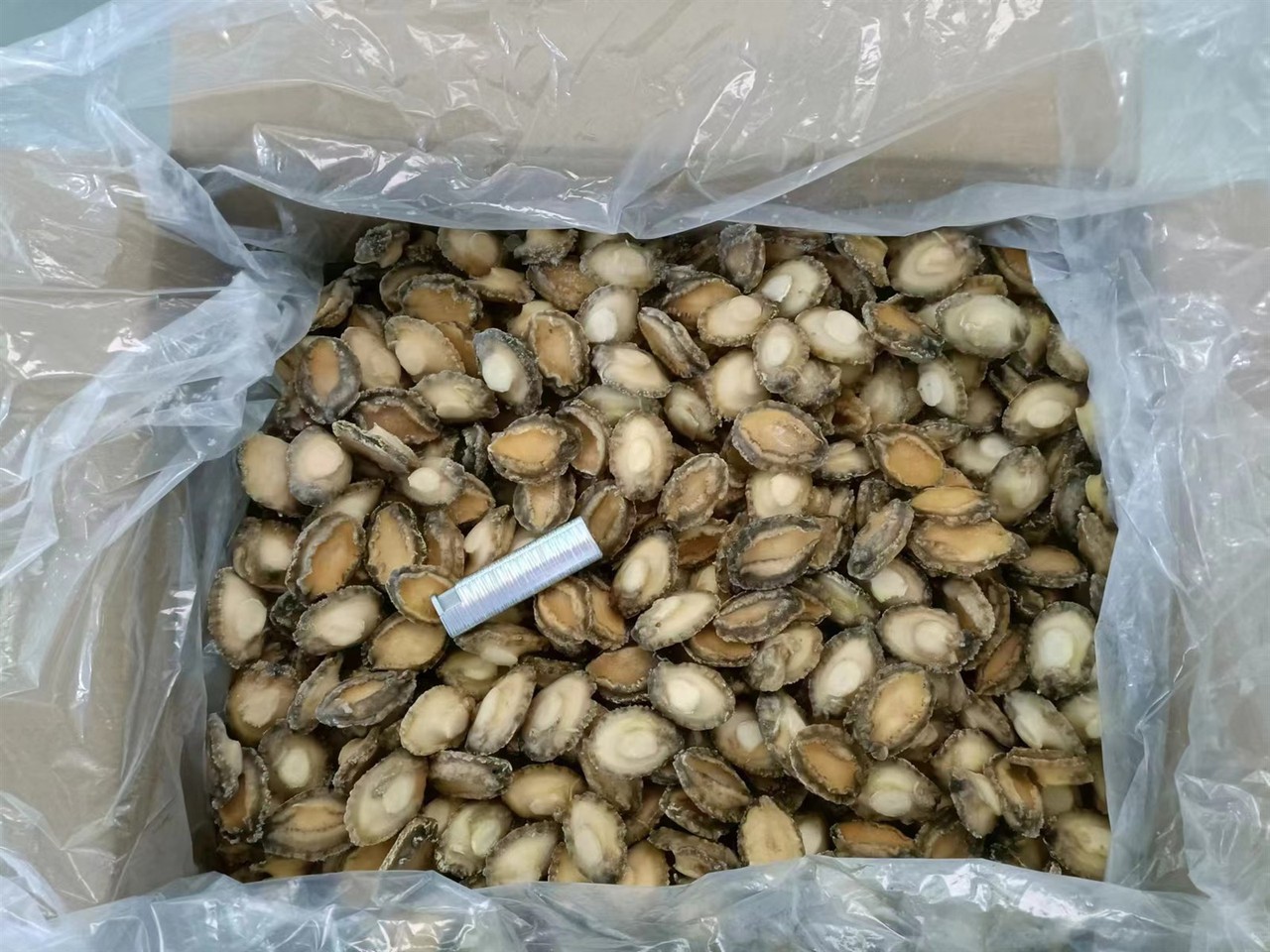 450363424122172092456075441577886506360634985n 450363424122172092456075441577886506360634985n