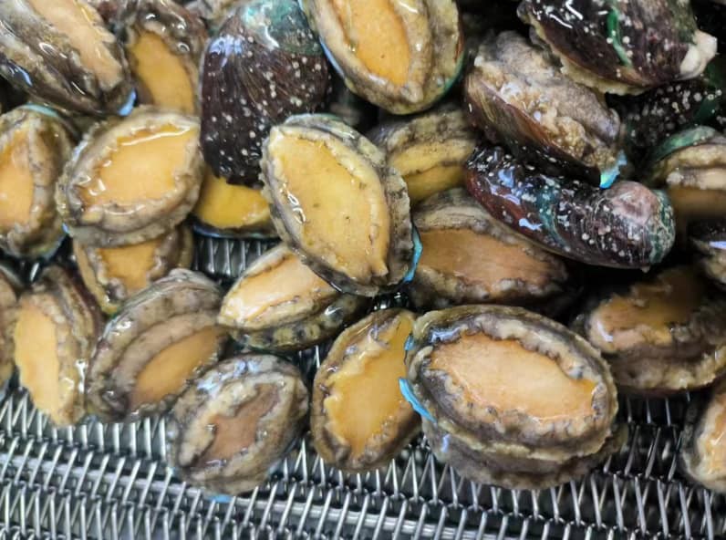 46432945721263999477555022909776656989382581n 46432945721263999477555022909776656989382581n