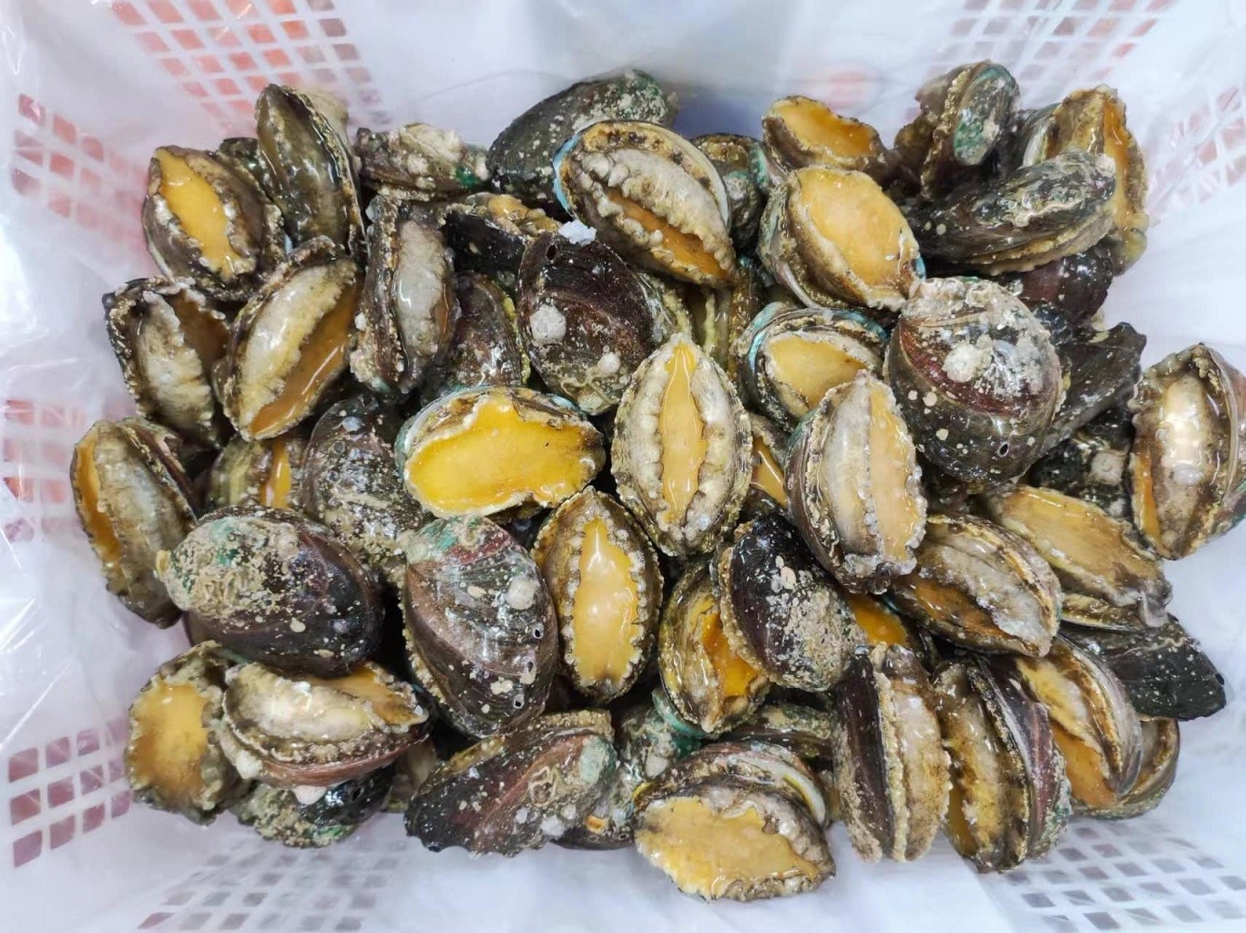 4698644541221993982400754414334855612736531935n 4698644541221993982400754414334855612736531935n