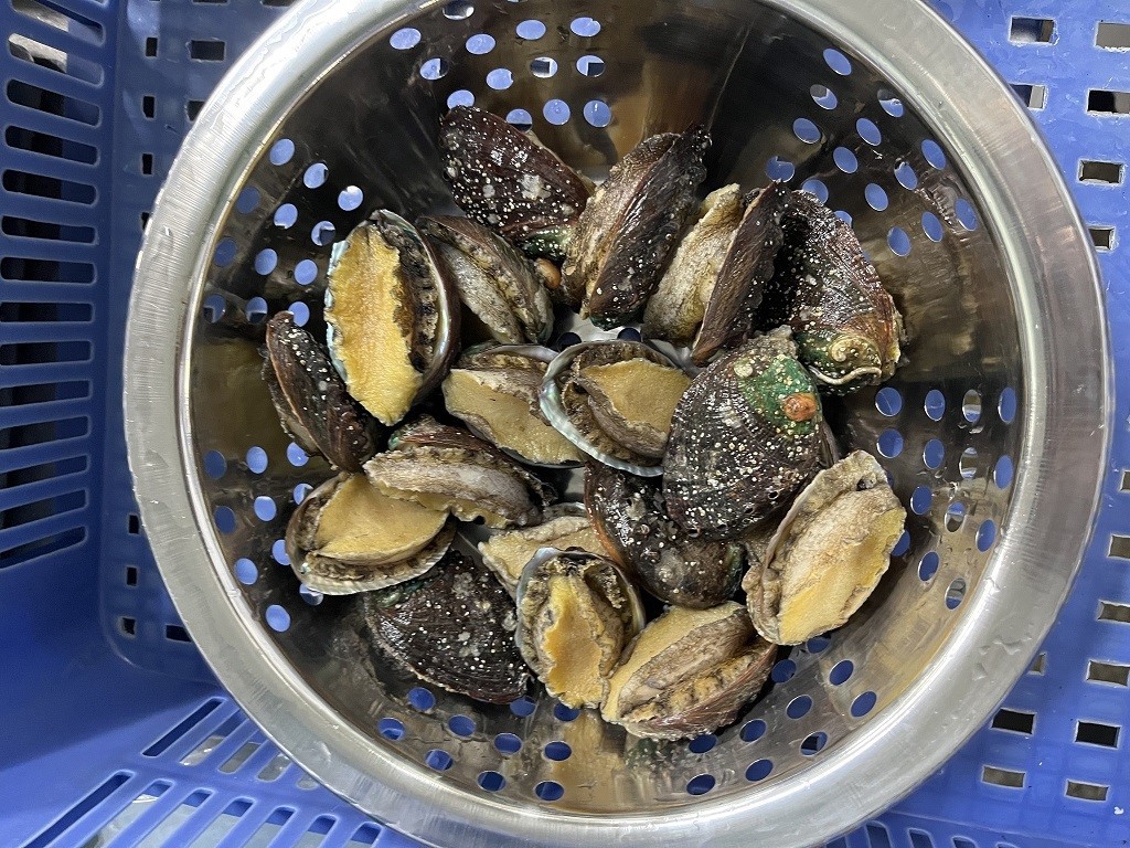 4716233711221940210881670046744054096663922623n 4716233711221940210881670046744054096663922623n