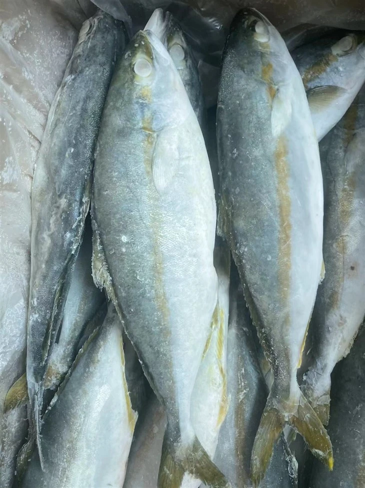 The Frozen Hamachi suppliers